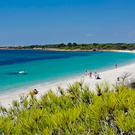 Aparthotel Isla De Cabrera Colonia de Sant Jordi